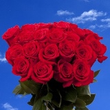 200 Stunning Red Roses - Next Day Delivery